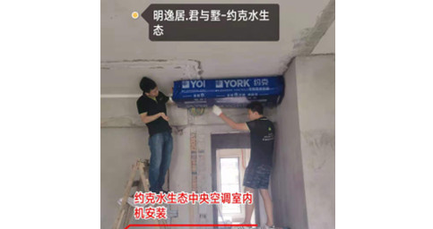 约克葫芦娃视频污版两联供